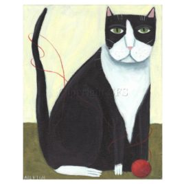 tuxedo cat with yarn